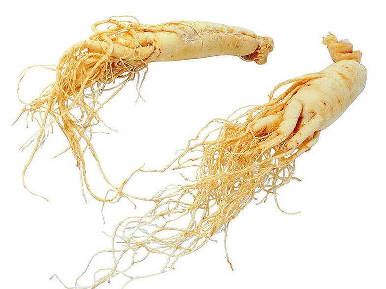 Ginseng root para sa potency